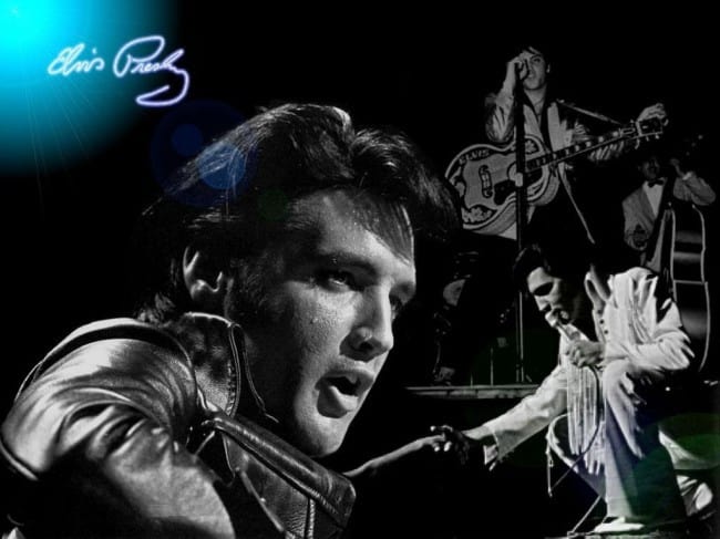 Elvis4