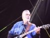 Graham Parker Bergenfest2014 - 12