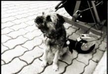 Fredagsvideo: Number Seven Deli – The One’s We’ve Been Waiting For