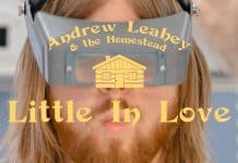Fredagsvideo: Andrew Leahey & The Homestead – Little In Love
