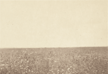 Milk Carton Kids – The Ash & Clay