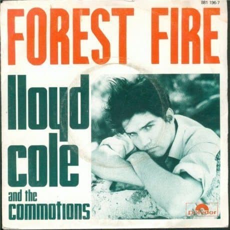 Lloyd Cole forest fire