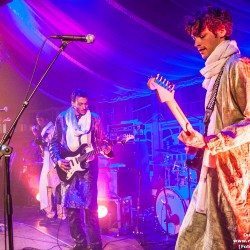 Bombino04