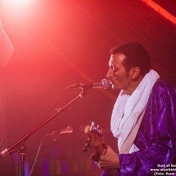Bombino05