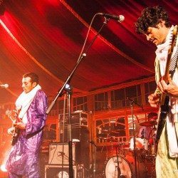 Bombino07