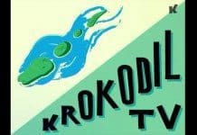 Fredagsvideo: David Ritschard & Krokodiltårarna – Upptagen i Telefonplan