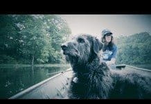 Fredagsvideo: Amy Lashley – Blame The Wind