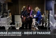 Fredagsvideo: Hannah Aldridge – Birds of Paradise